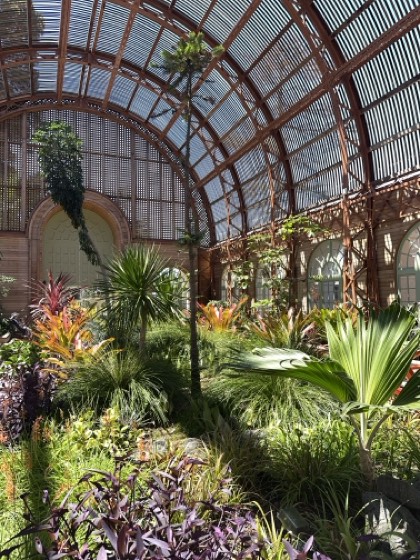 Inside a glass and iron conservatory, arched roof trusses over palms, agaves and dense planting.