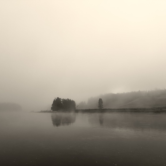 A lake under thick morning fog, a small stand of pines on the far shore mirrored in still water, the whole frame in warm grey.