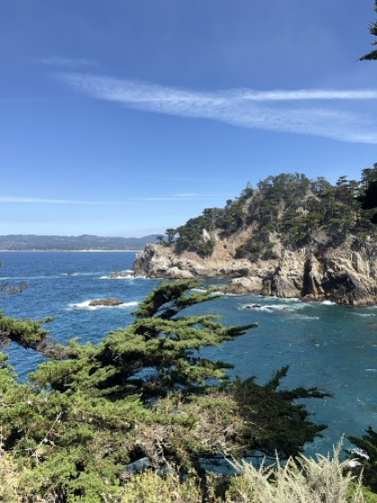 A rocky Pacific headland, cypress in the foreground and turquoise water in a sheltered cove.